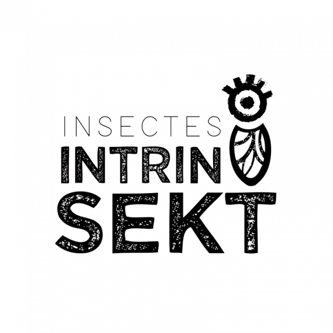 Insectes Intrinsekt